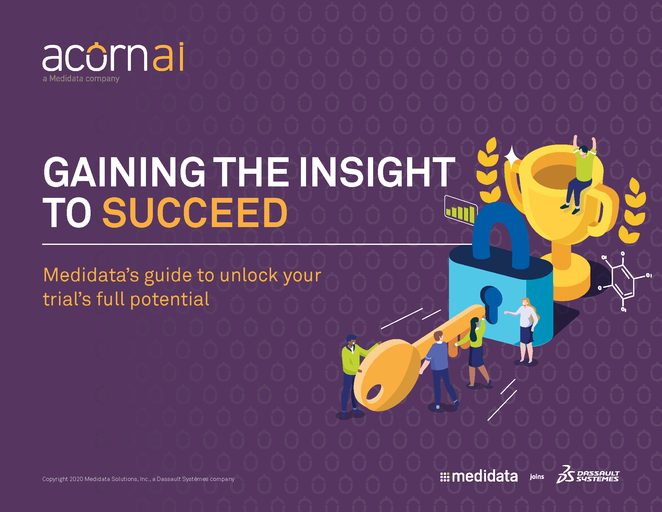 Gaining the Insight to Succeed