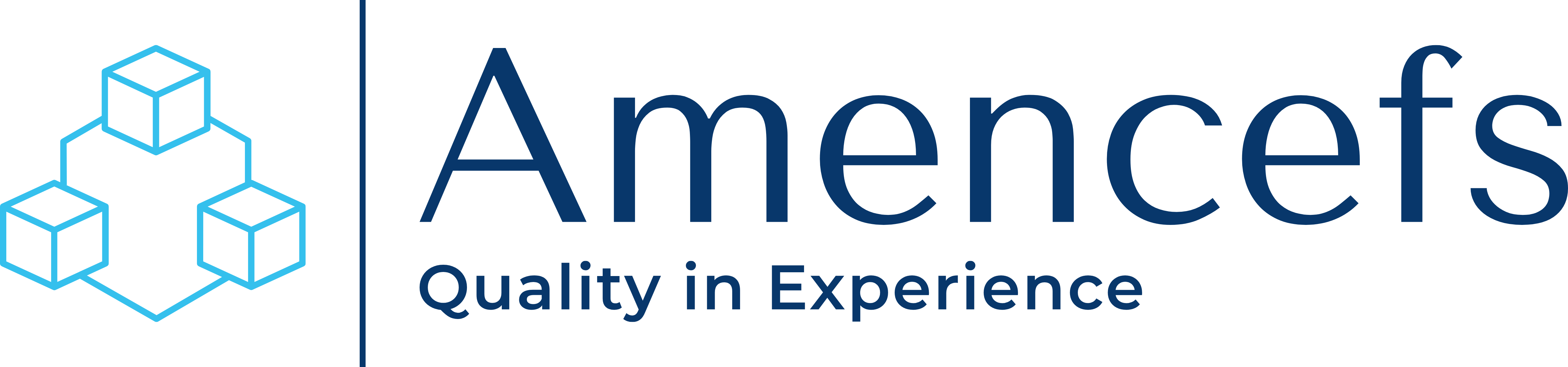 Amencefs LLC