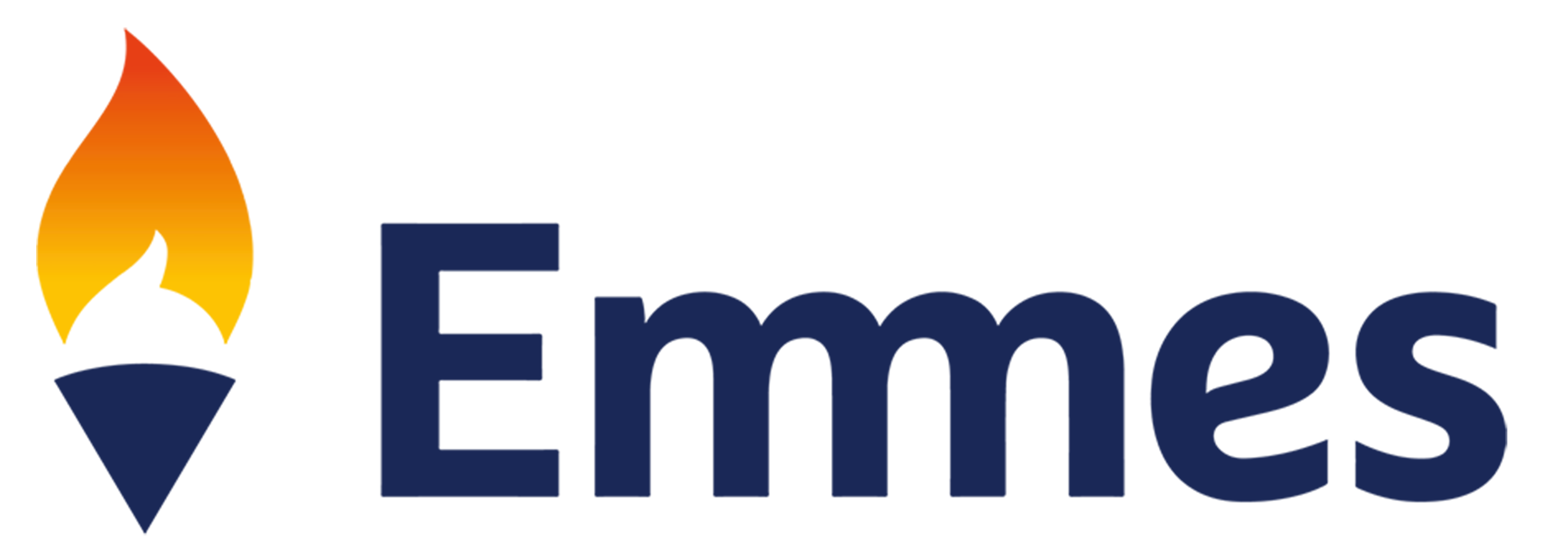 The Emmes Company,  LLC