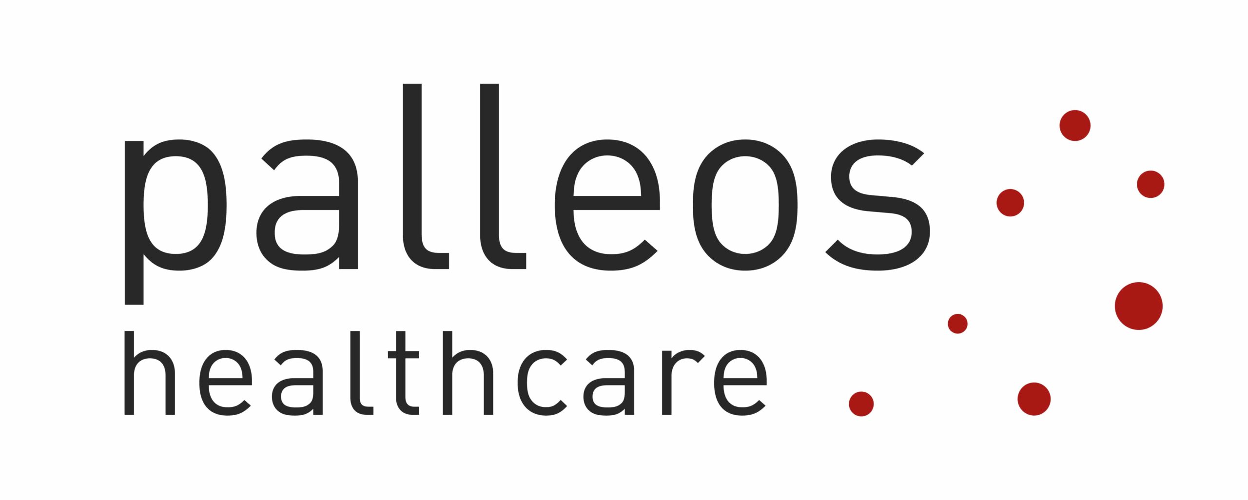 Palleos Partner Study Image