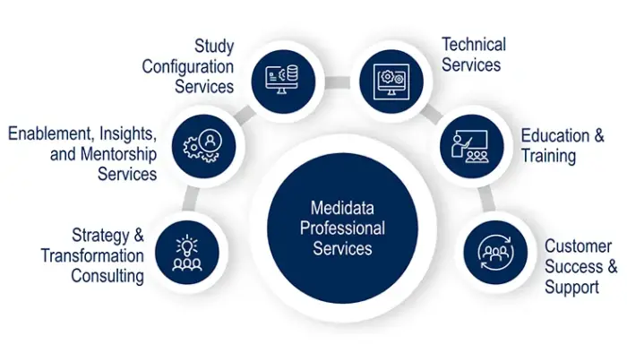 Professional Services