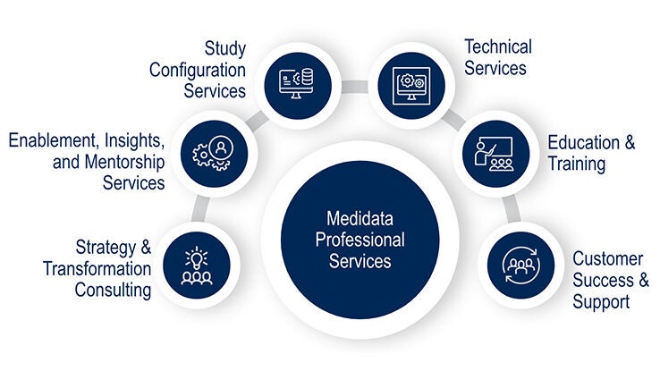 Professional Services