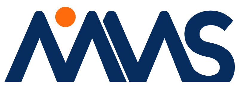 MMS Holdings