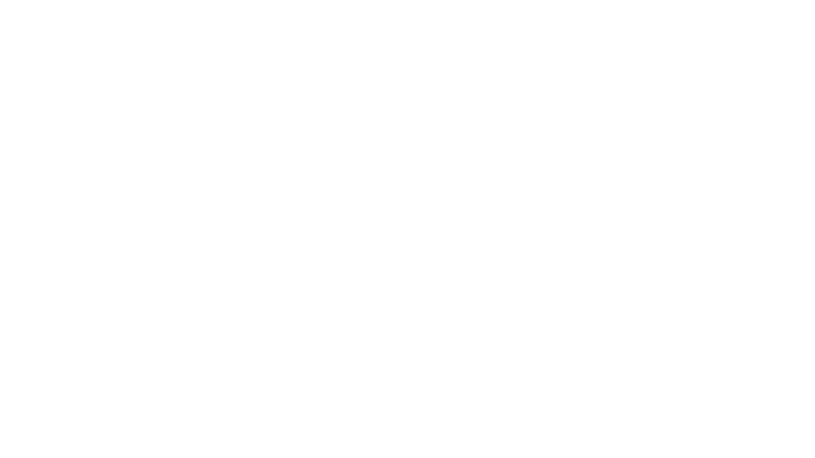 Slide Graphic or Logo
