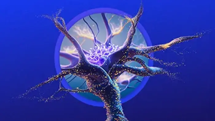 banner LSH-VP-New-Therapies-Asset-2-Guide-activation-544x214